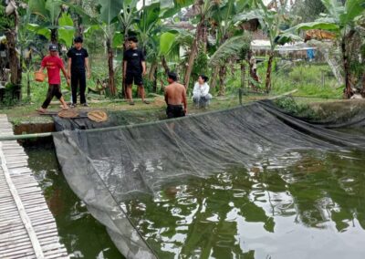 Panen Ketahanan Pangan